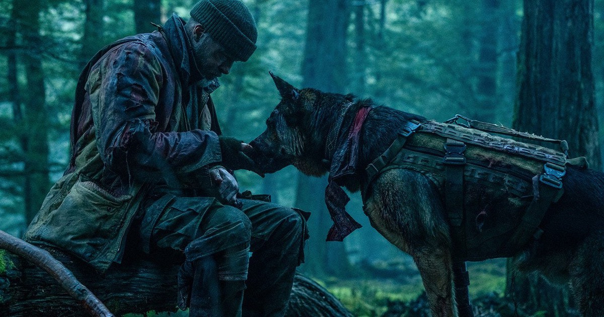 Heart of the Beast: Một người một chó, họ không đơn thuần là chủ và tớ, mà là những người anh em đồng chí thực sự